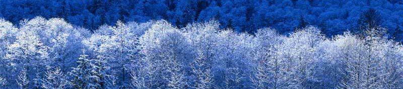 Hiver